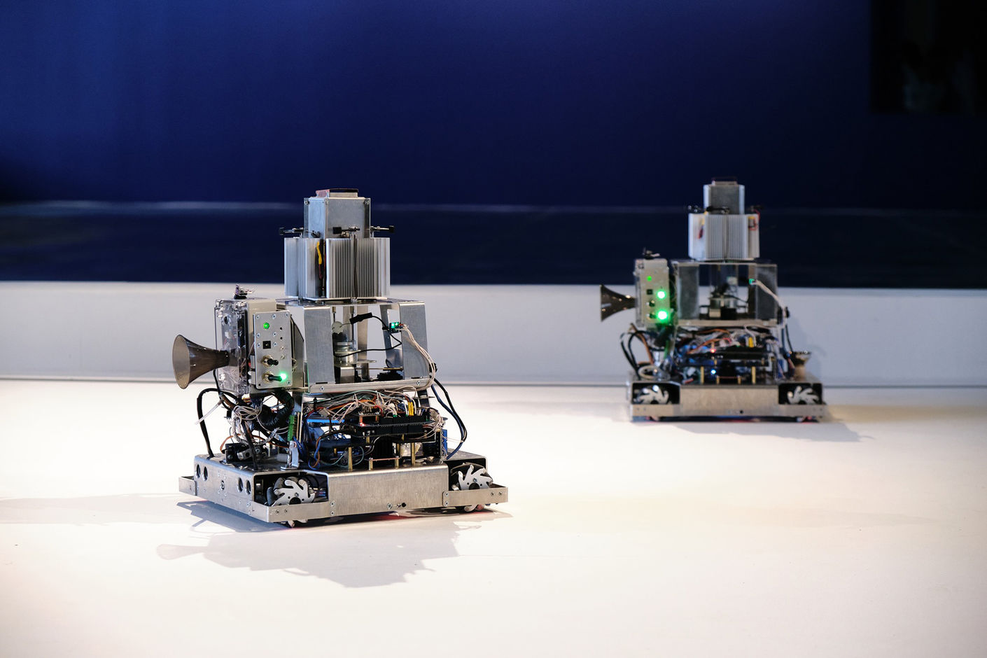 Группа «Куда бегут собаки» — «Керосиновые хроники. Гриб». Инсталляция, в которой химическая коммуникация гриба и машины даёт возможность для построения химической коммуникации между роботами.