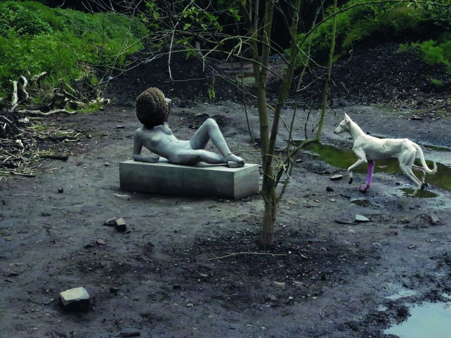 Pierre Huyghe, Untilled