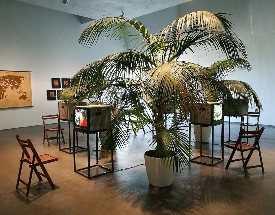 Sergio Vega_Genesis According to Parrots, Multichannel video installation with plants and chairs
