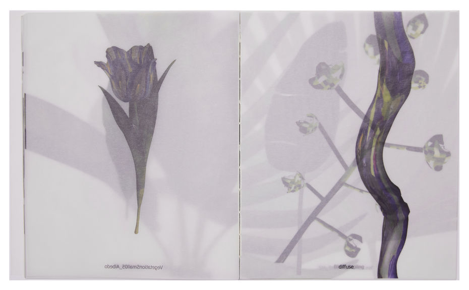 Коллекция растений собранных в видеоиграх — Александра Горобец, Виртуальный гербарий, 2020