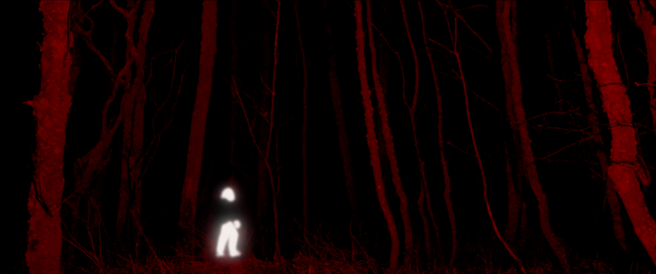 Лукия Харикова. Knowledge of the Void, 2024