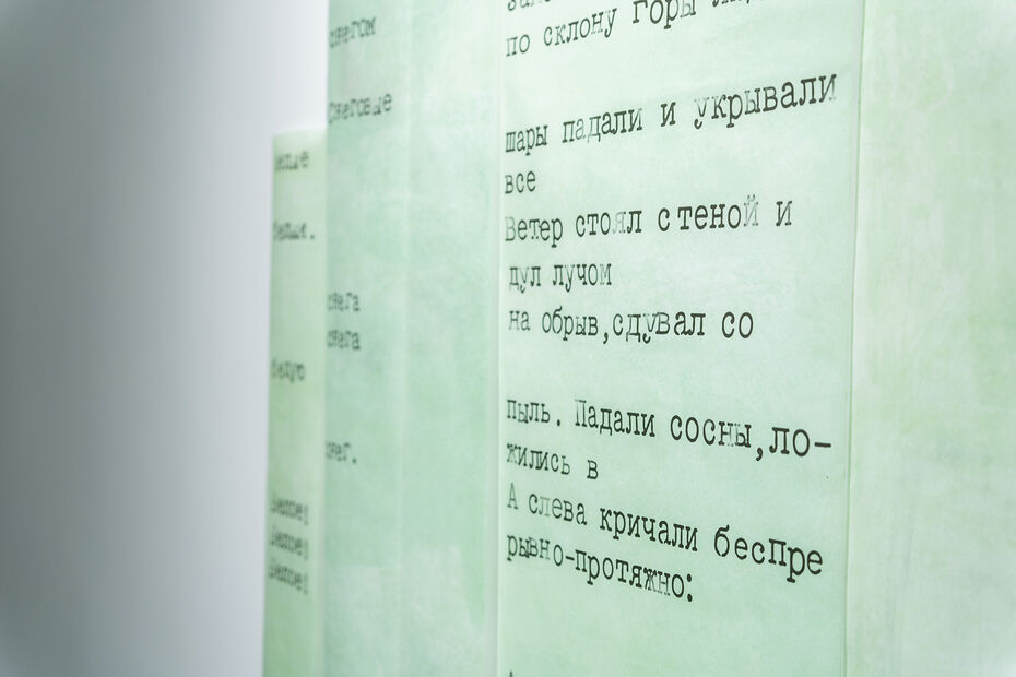 Агата Гафарова. Зимний сонный детектив (2), 2025