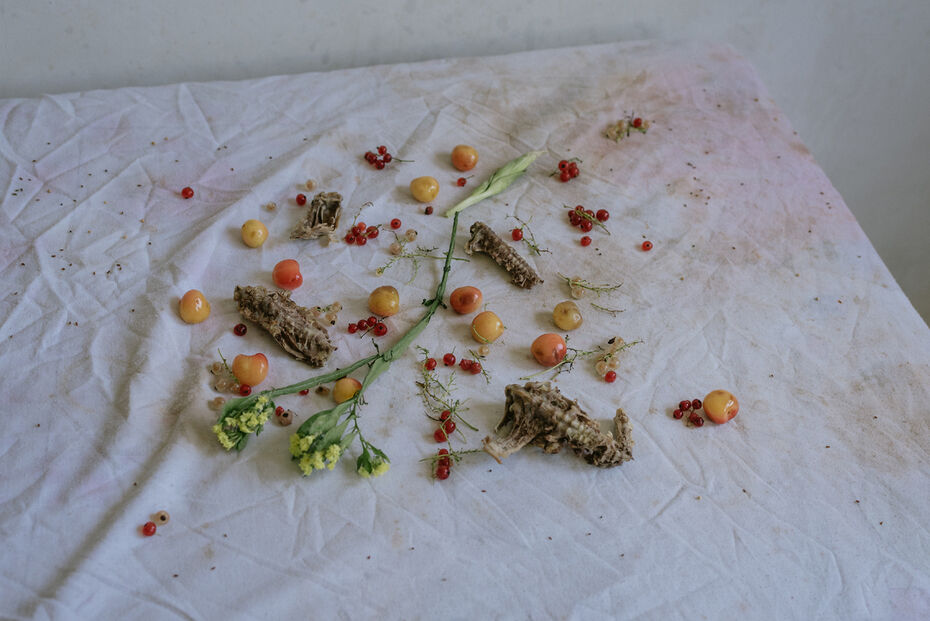 Яна Васильева. Light touch, 2018